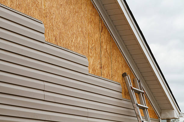 Professional Wood Siding technician working in Cambridge, MD